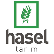 hasel tarim